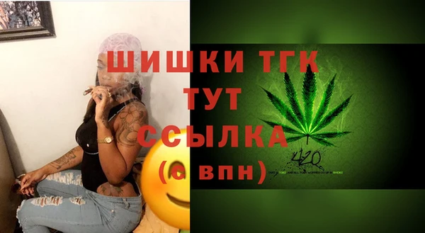 тгк Беломорск