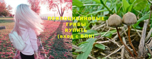 тгк Беломорск