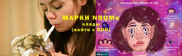 бошки Белокуриха