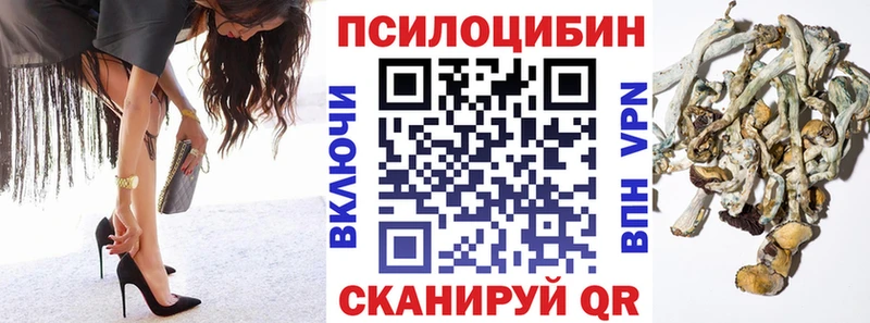 Галлюциногенные грибы ЛСД  Купить где  Балей 